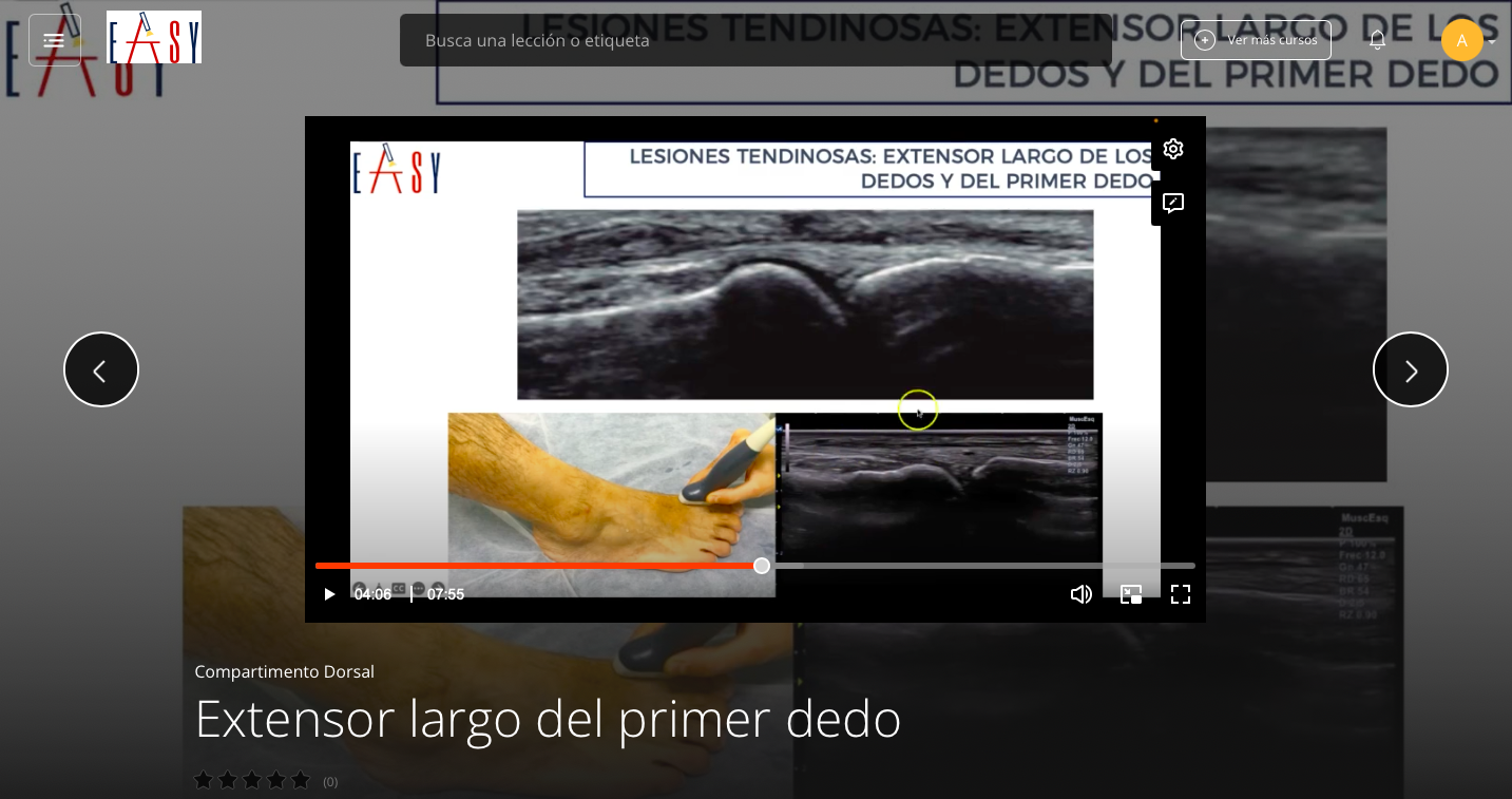 Compartimento Dorsal del Pie