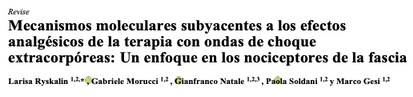 Referencia terapia ondas de choque
