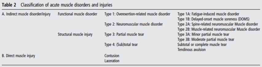 Tipos de rotura muscular, consenso de Munich
