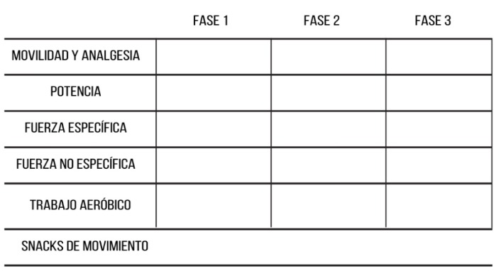 Esquema de trabajo para tratar el dolor en el manguito rotador