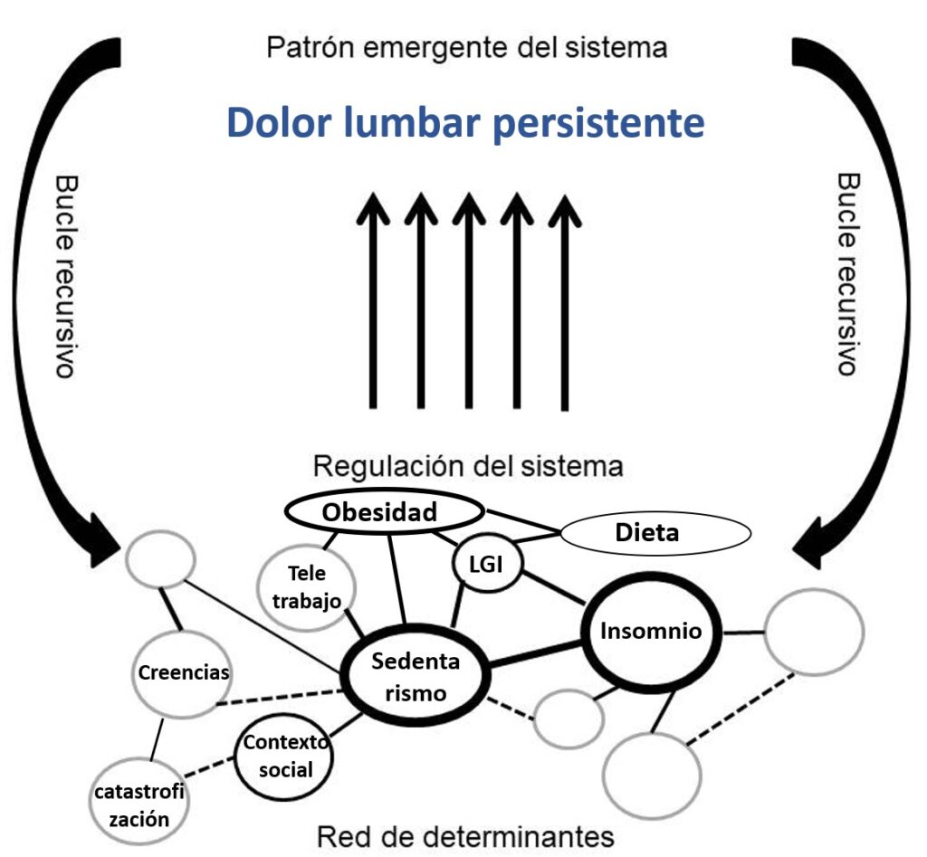 Red de determinantes con ejemplo de paciente con dolor lumbar persistente