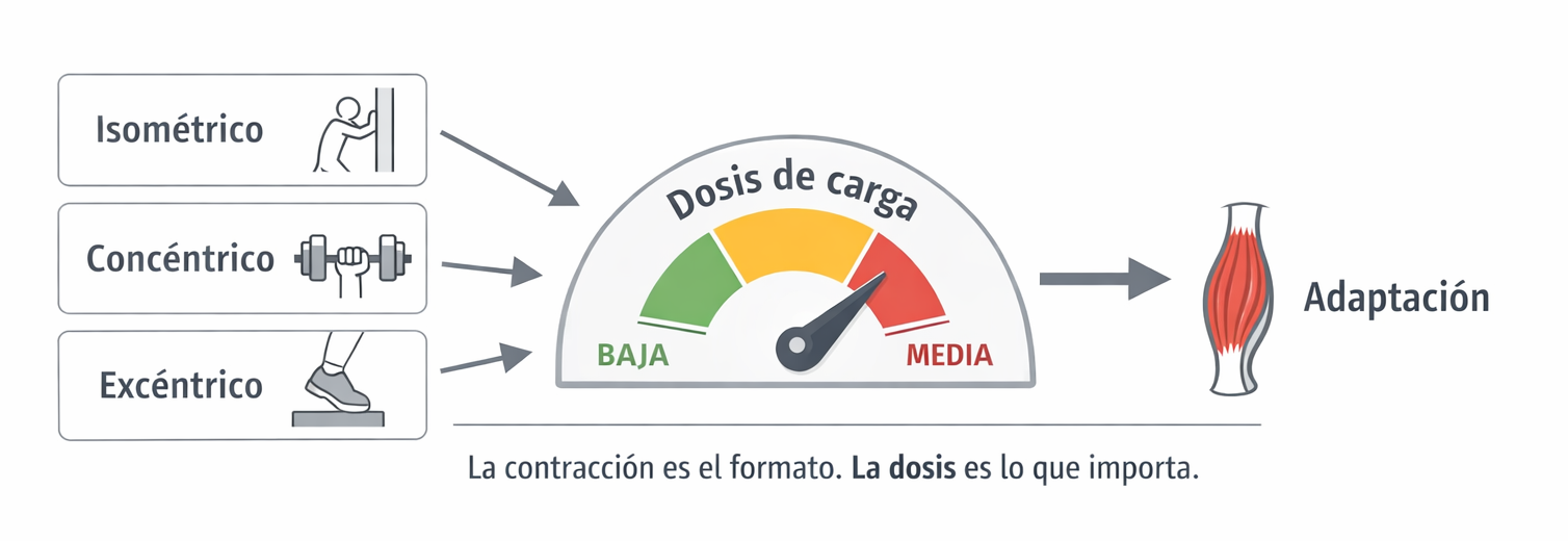 Infografía que muestra la dosis adecuada de ejercicio para provocar adaptaciones en el tendón